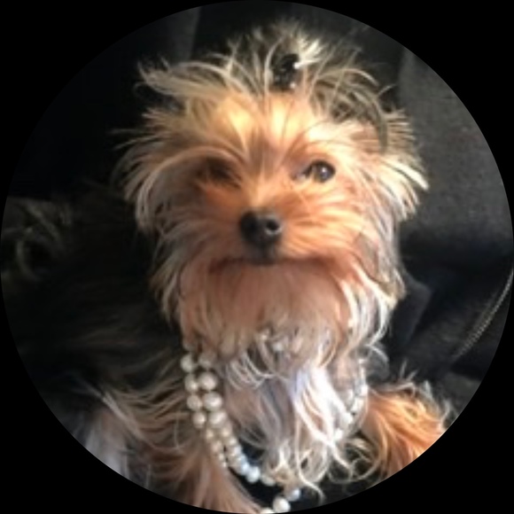 littleparischic